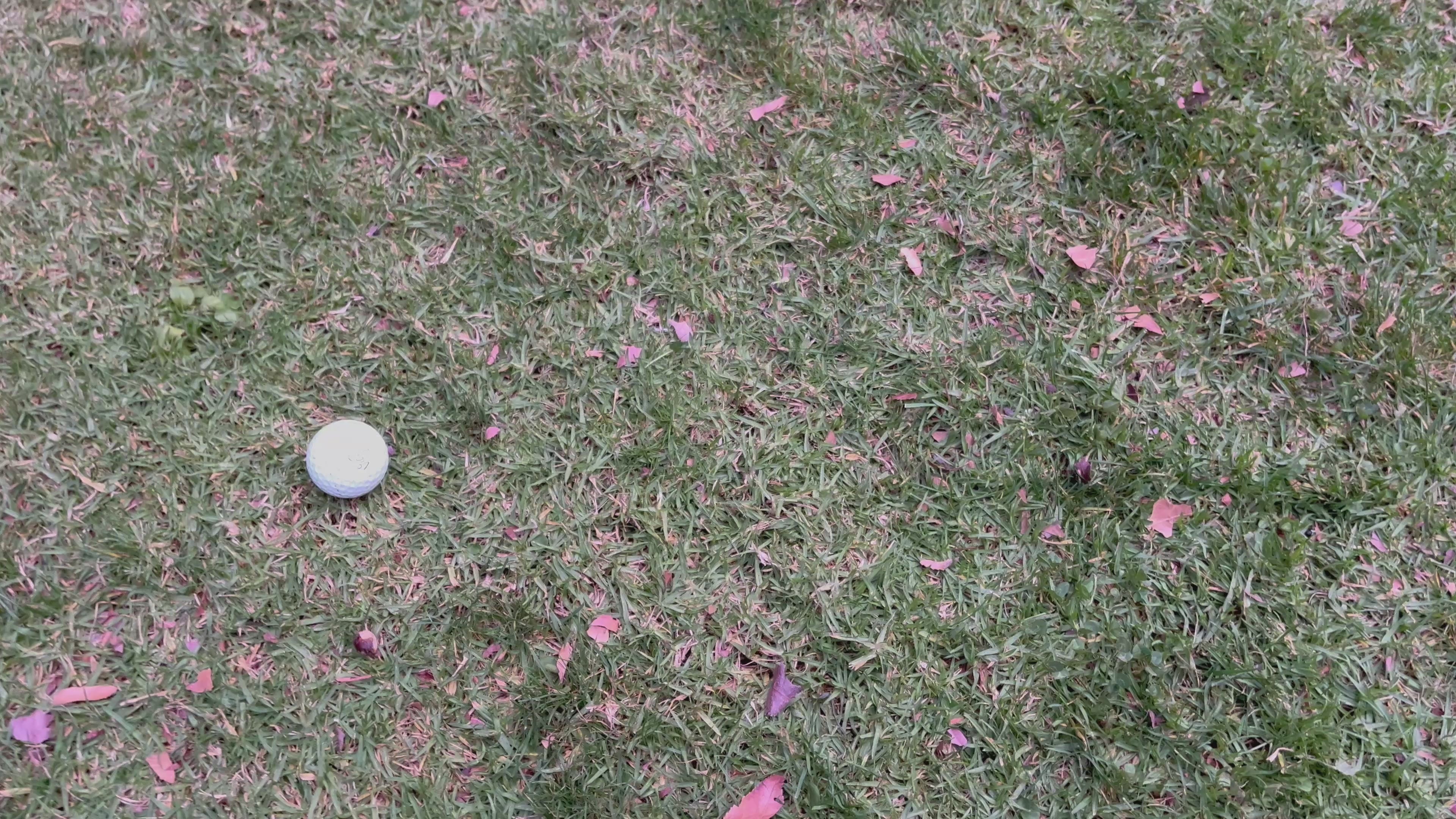 Cargar vídeo: Rescata Pelotas 1.5mt